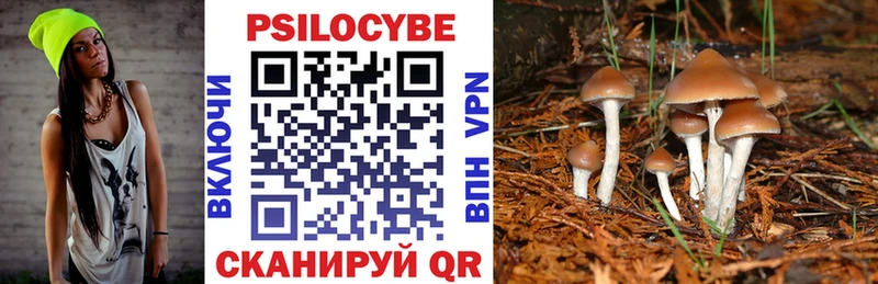 Галлюциногенные грибы прущие грибы  Купить закладки  Гурьевск 