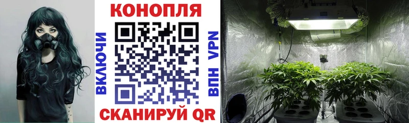 Купить закладки  Гурьевск  Канабис Bruce Banner 